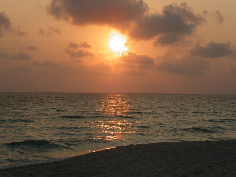 PICT0294.JPG