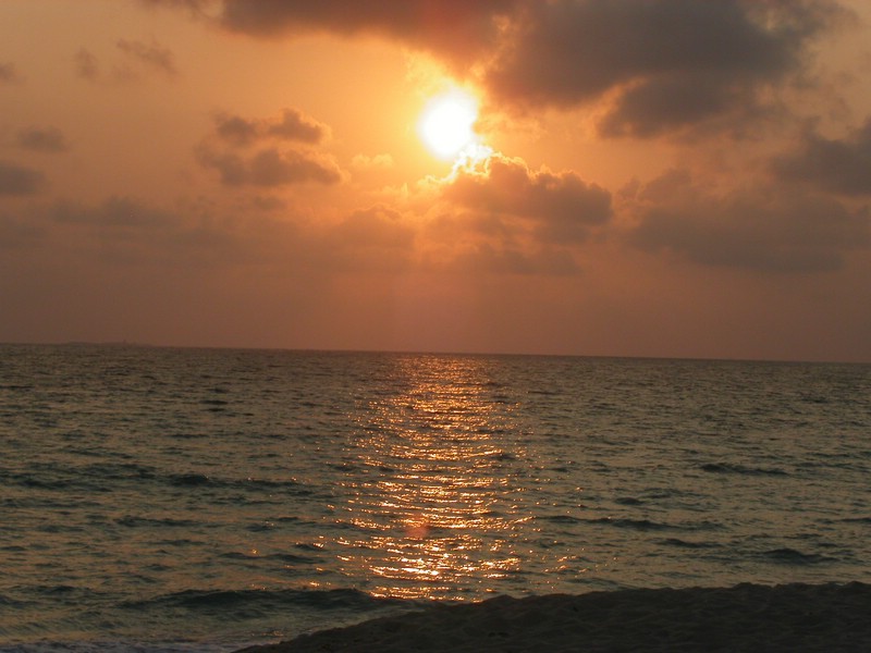 PICT0295.JPG
