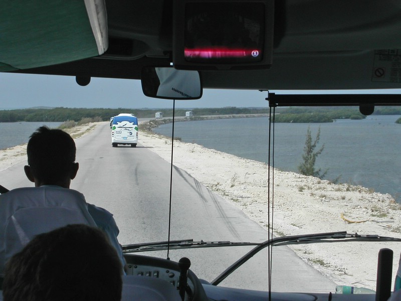 PICT0302.jpg