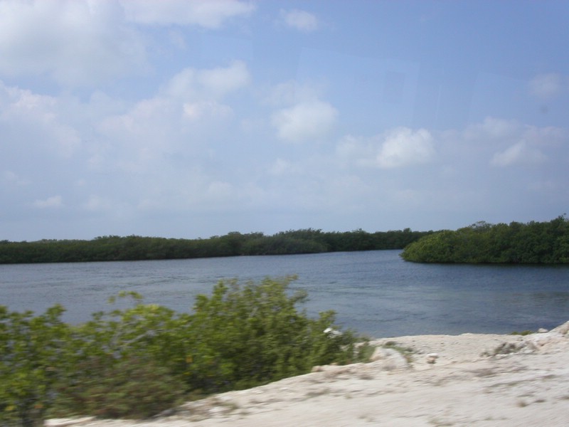 PICT0303.JPG