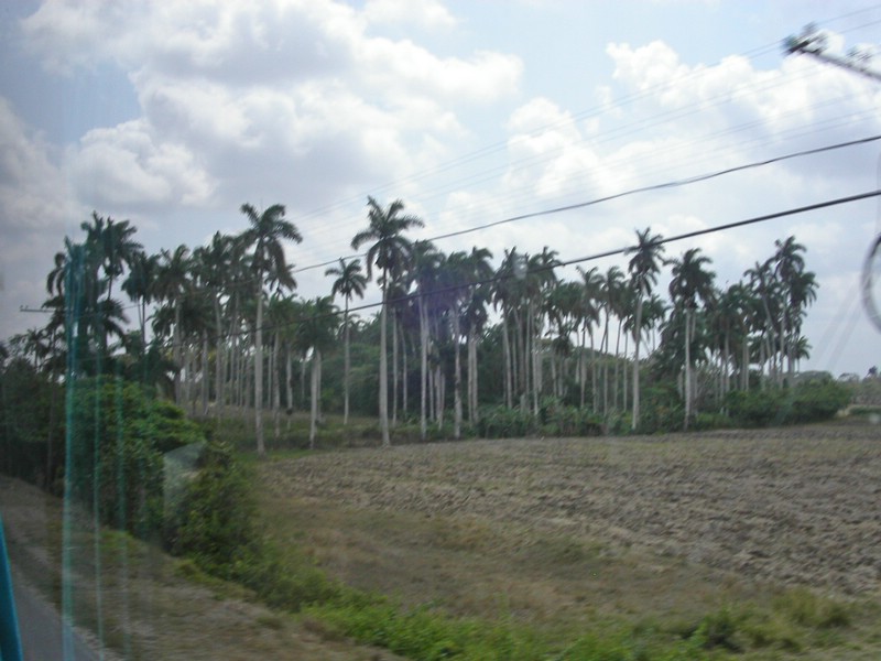 PICT0313.jpg
