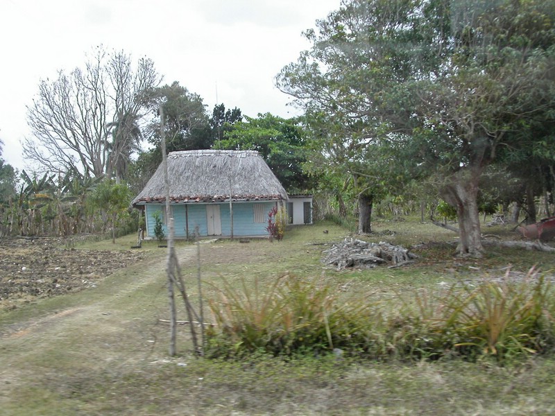 PICT0317.jpg