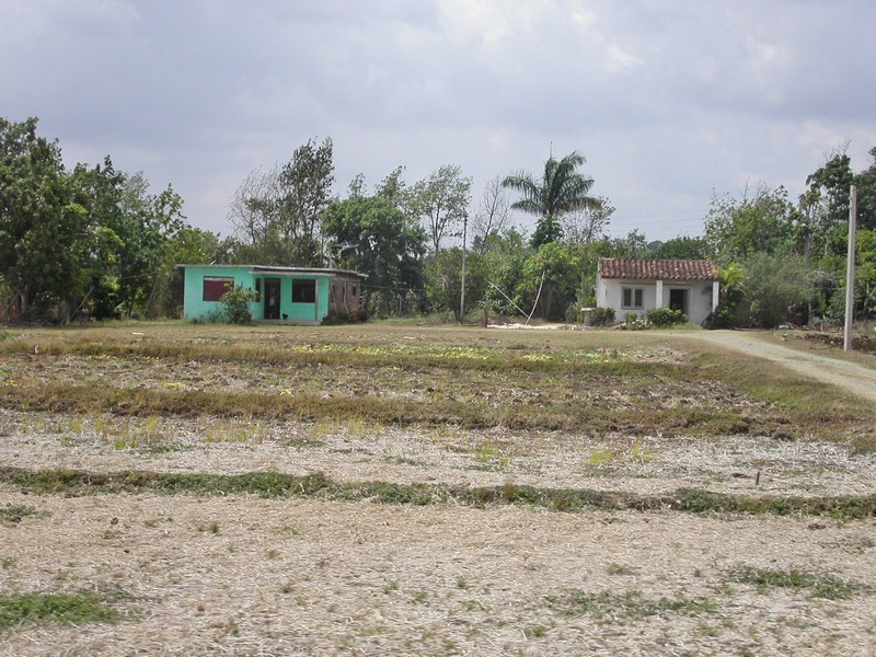 PICT0319.jpg