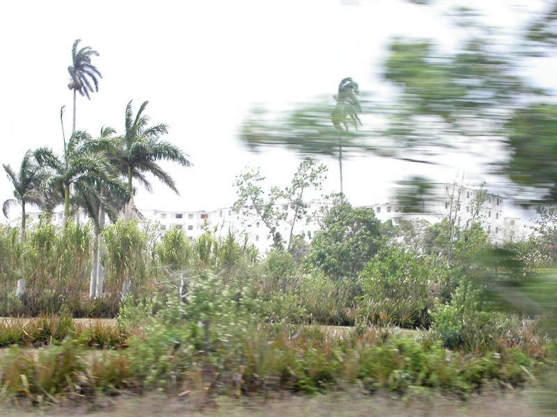 PICT0320.jpg