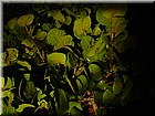 PICT0060.JPG