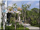 PICT0073.JPG