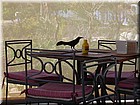 PICT0097.JPG
