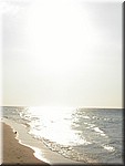 PICT0109.jpg