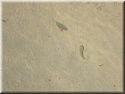 PICT0116.JPG