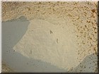 PICT0117.JPG