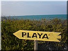 PICT0118.JPG