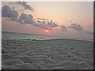 PICT0286.jpg
