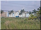 PICT0311.jpg