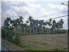 PICT0313.jpg