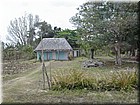 PICT0317.jpg