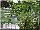 PICT0324.jpg