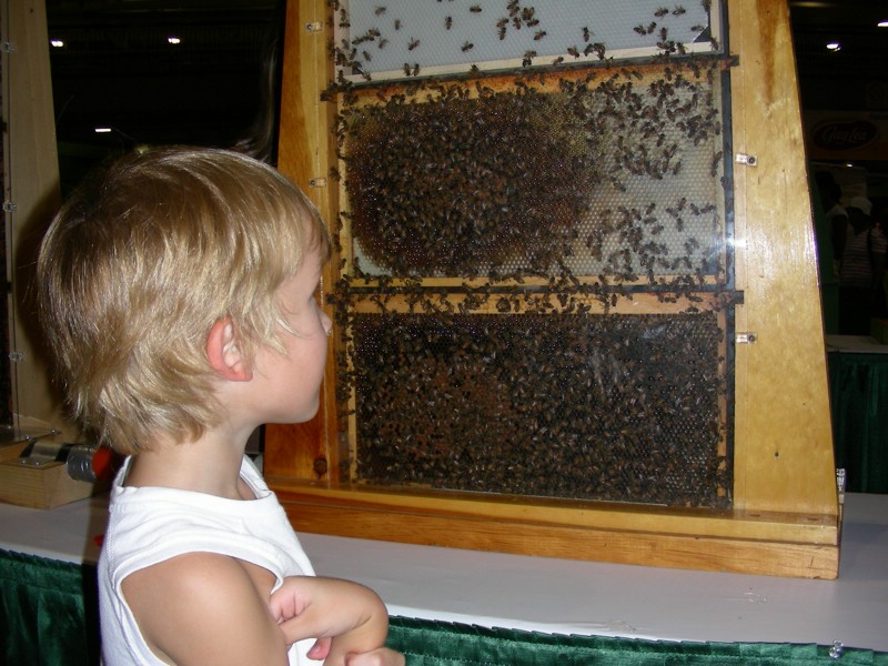 DSCN1710.JPG