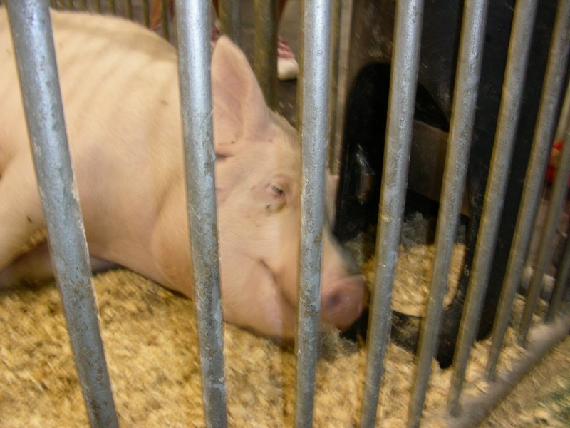 DSCN1714.JPG
