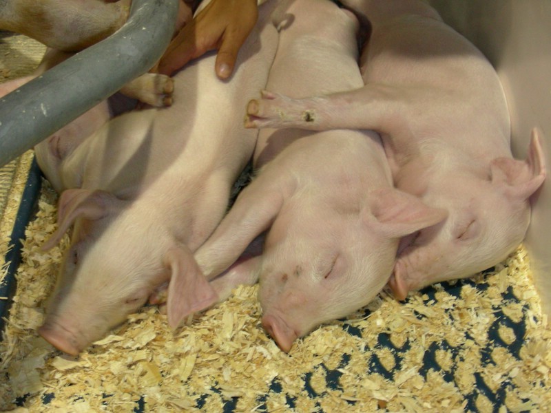 DSCN1715.JPG