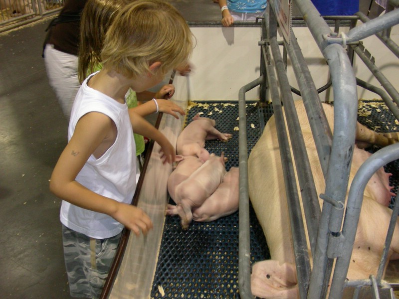 DSCN1716.JPG