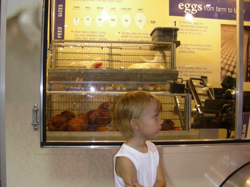 DSCN1719.JPG
