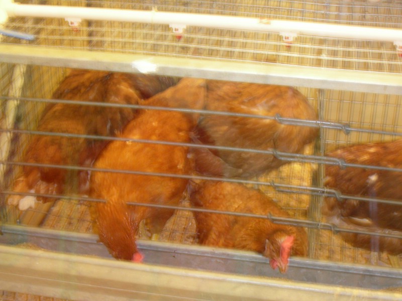 DSCN1720.JPG