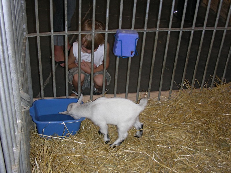 DSCN1729.JPG