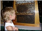 DSCN1710.JPG
