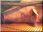 DSCN1712.JPG