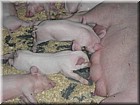 DSCN1718.JPG