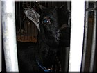 DSCN1727.JPG
