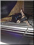 DSCN1728.JPG