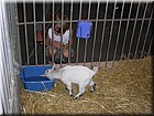 DSCN1729.JPG