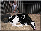 DSCN1731.JPG