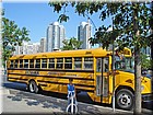DSC01231.jpg