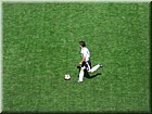 DSCN1324.JPG