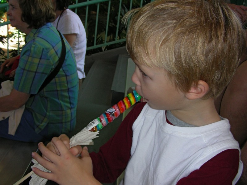 DSCN2432.JPG