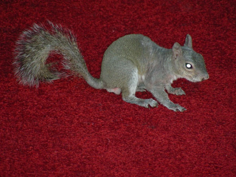 DSCN2458.JPG