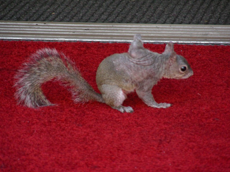 DSCN2459.JPG