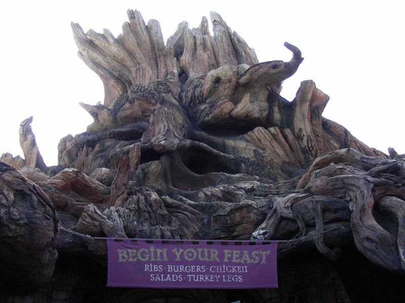 DSCN2511.JPG