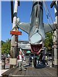 DSCN2425.JPG