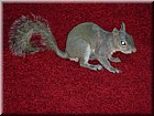DSCN2458.JPG