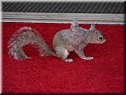 DSCN2459.JPG