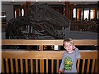 DSCN2518.JPG