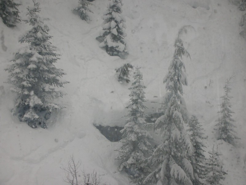 DSCN0564.JPG