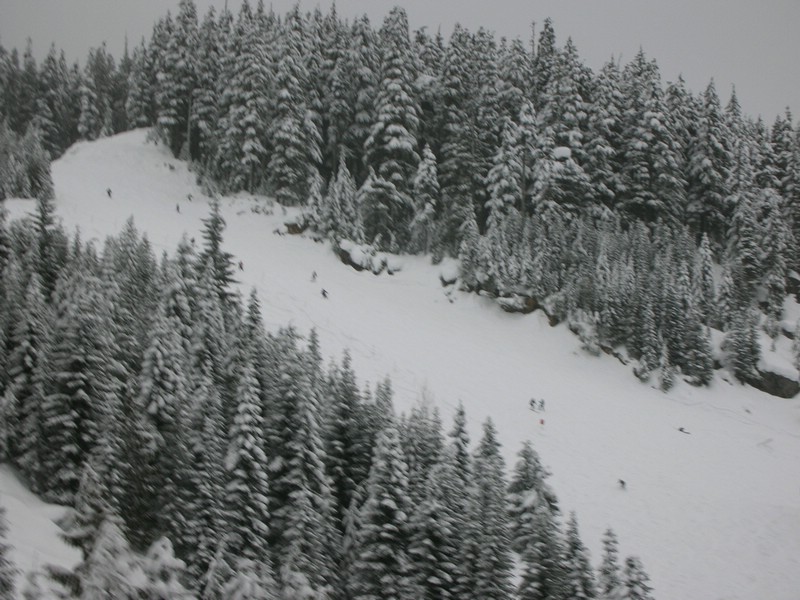 DSCN0565.JPG