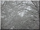DSCN0559.JPG