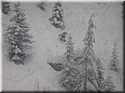 DSCN0564.JPG
