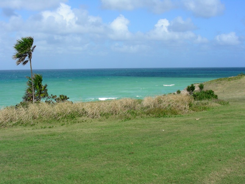 DSCN2898.JPG