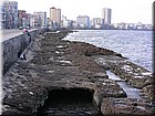 DSCN2674.JPG